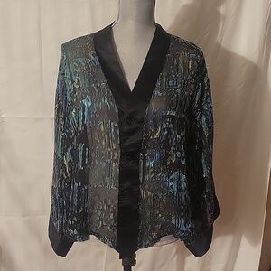 CHICO'S Long Sleeve Button Down Black & Blue Sheer Blouse, Size: 2